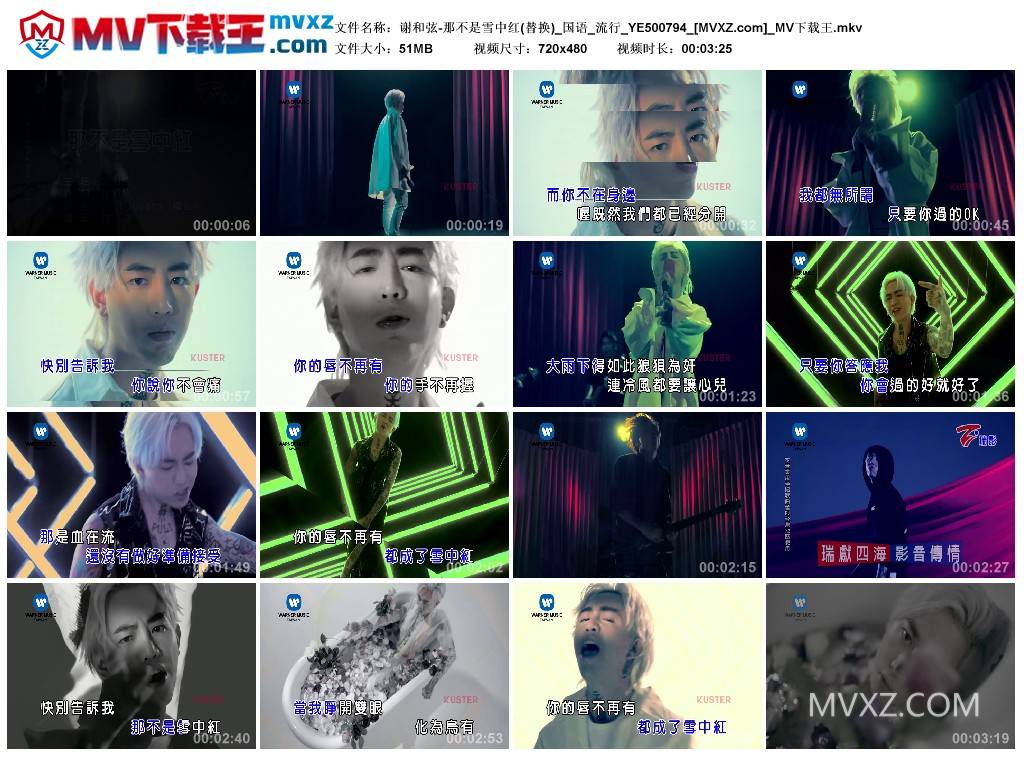 谢和弦-那不是雪中红(替换)_国语_流行_YE500794